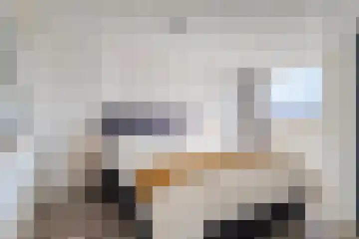 Condensatorstraat 7 Eindhoven thumbnail 4