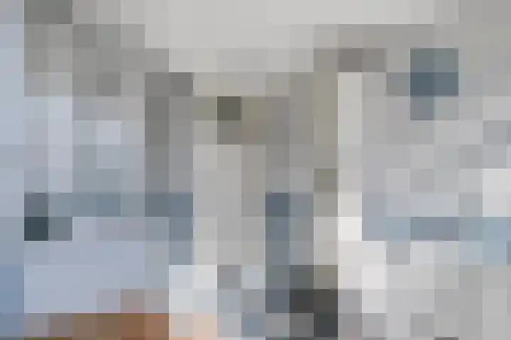 Condensatorstraat 7 Eindhoven thumbnail 5