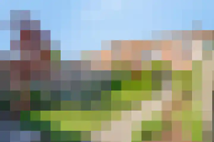 Condensatorstraat 7 Eindhoven thumbnail 6