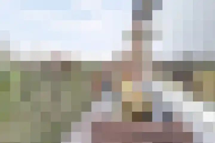 Condor 57 Nieuwegein thumbnail 6