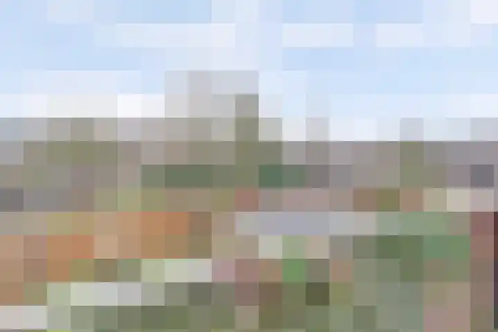 Condor 57 Nieuwegein thumbnail 8