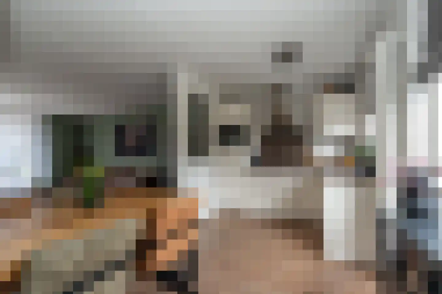 Condorhorst 10 Stadskanaal thumbnail 13