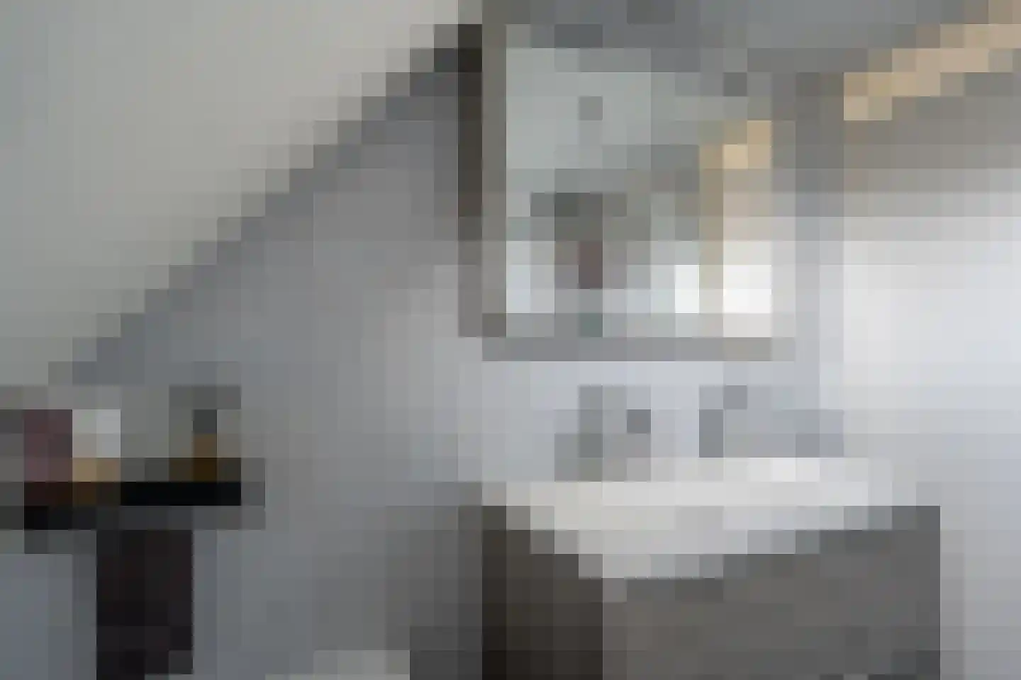 Condorhorst 10 Stadskanaal thumbnail 32