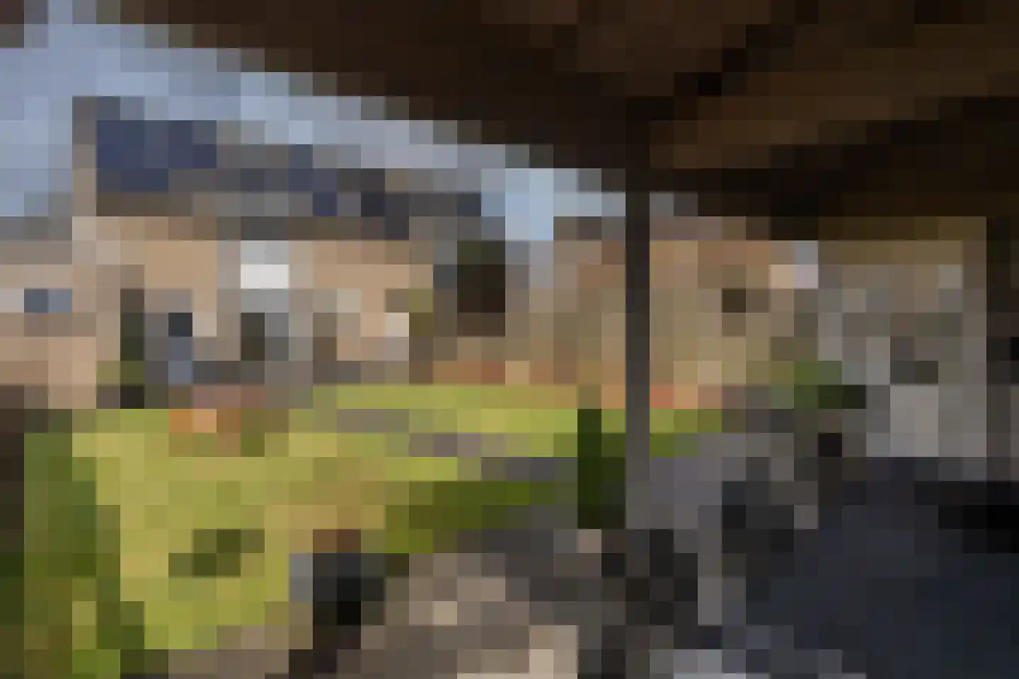Condorhorst 10 Stadskanaal thumbnail 41