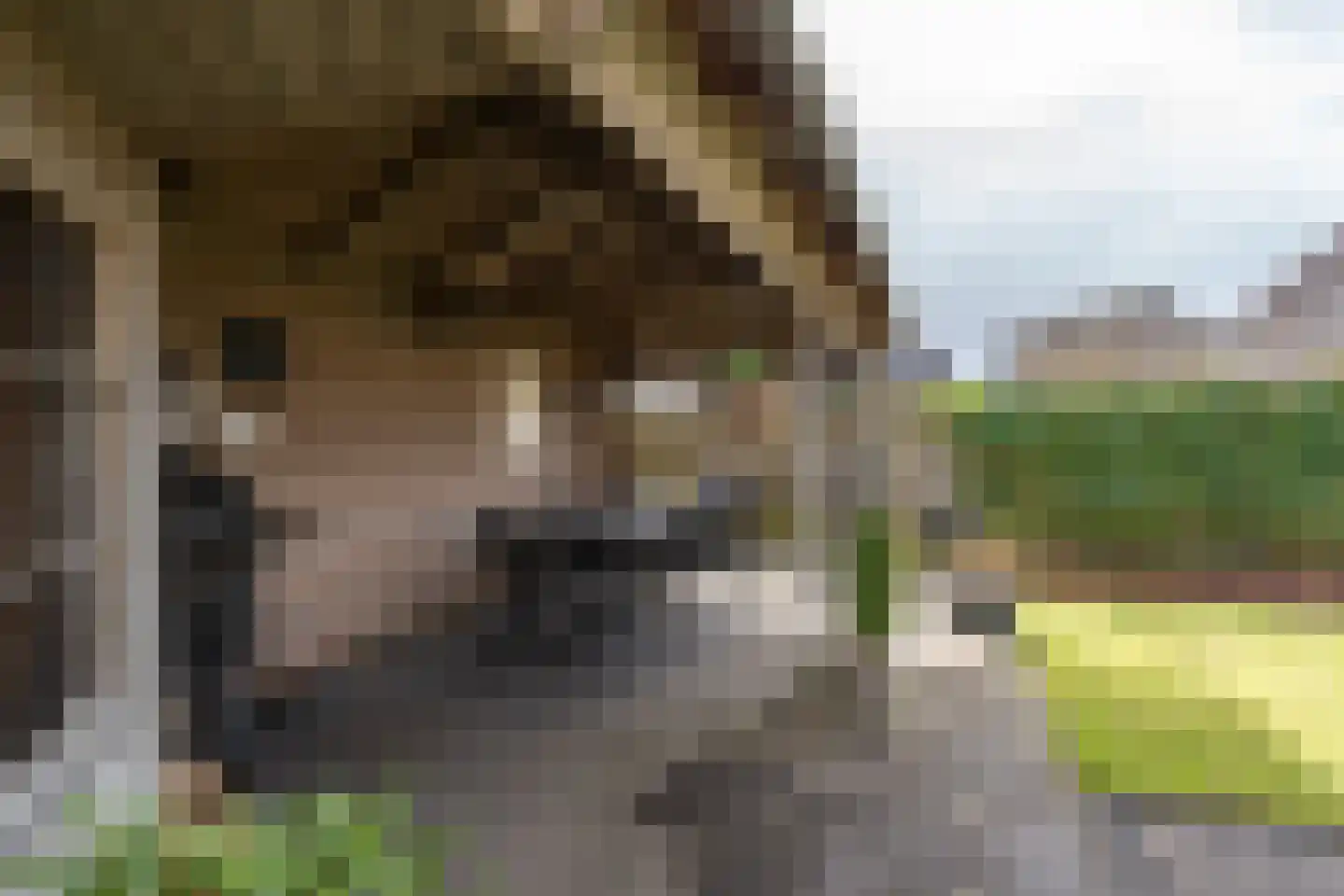 Condorhorst 10 Stadskanaal thumbnail 42
