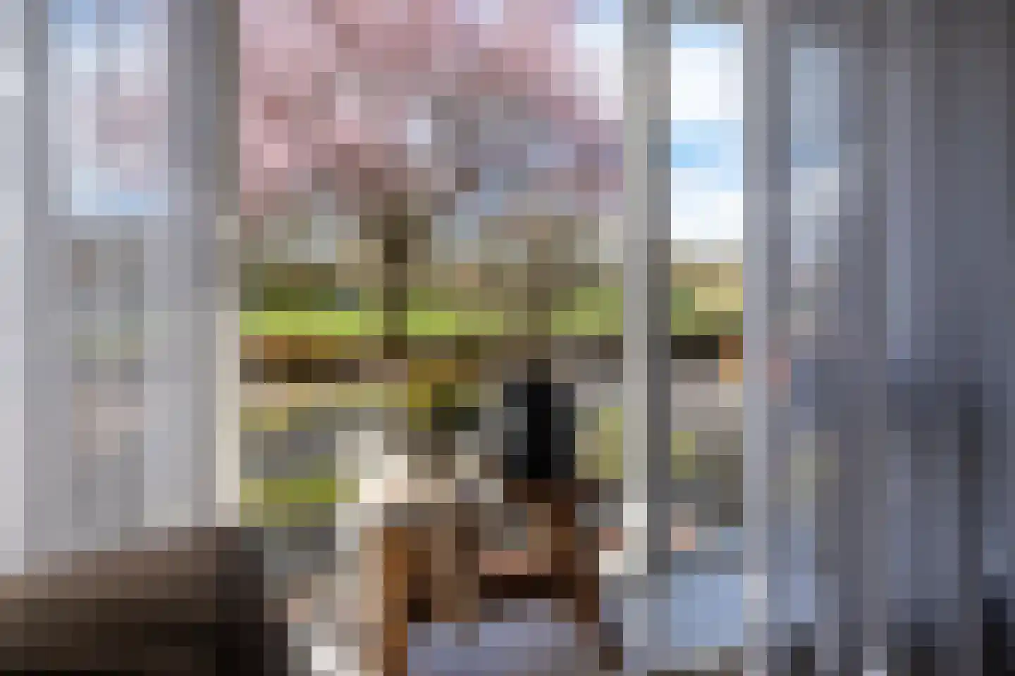 Condorhorst 10 Stadskanaal thumbnail 7