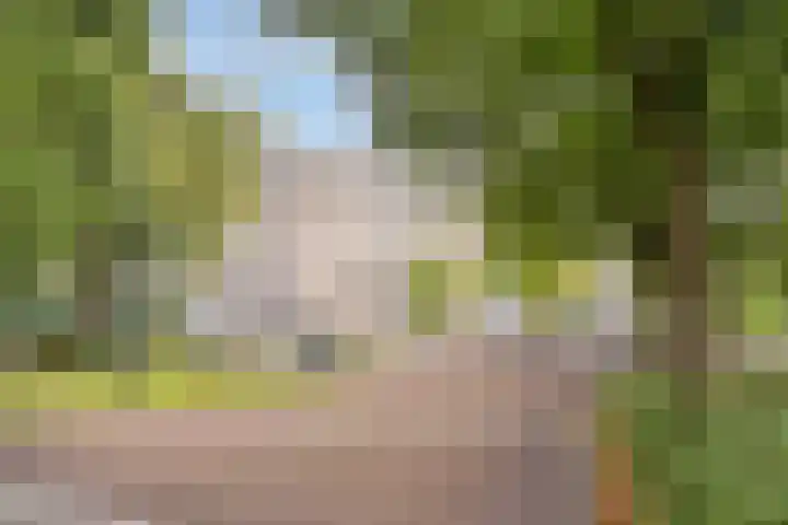 Condorhorst 113 in Leiden