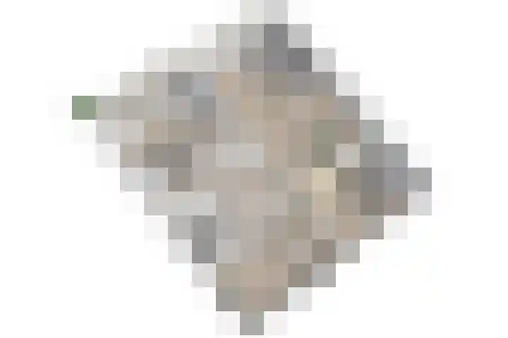 Condorhorst 113 Leiden thumbnail 42