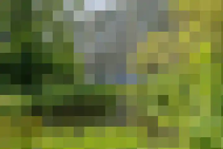 Condorhorst 19 in Leiden