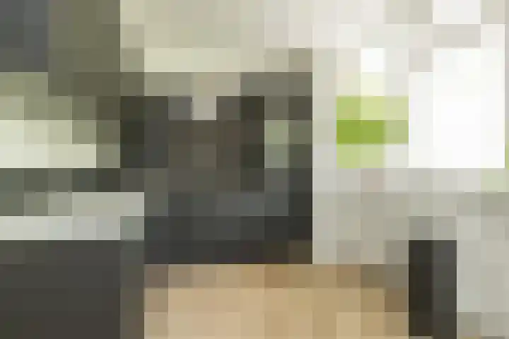 Condorhorst 19 Leiden thumbnail 16