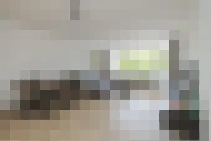 Condorhorst 19 Leiden thumbnail 4