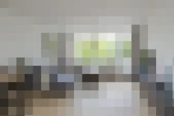 Condorhorst 19 Leiden thumbnail 5