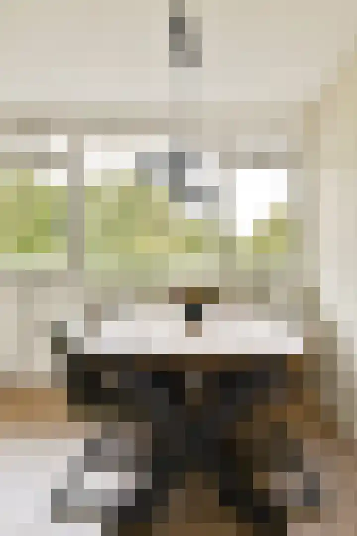 Condorhorst 36 Leiden thumbnail 11