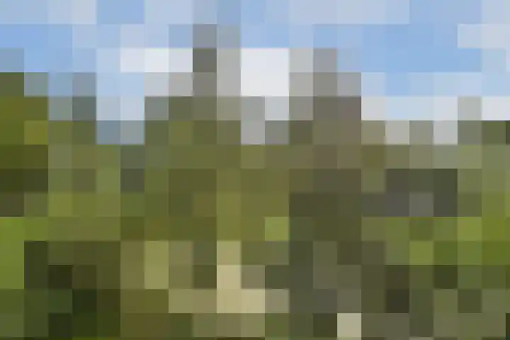 Condorhorst 36 Leiden thumbnail 19