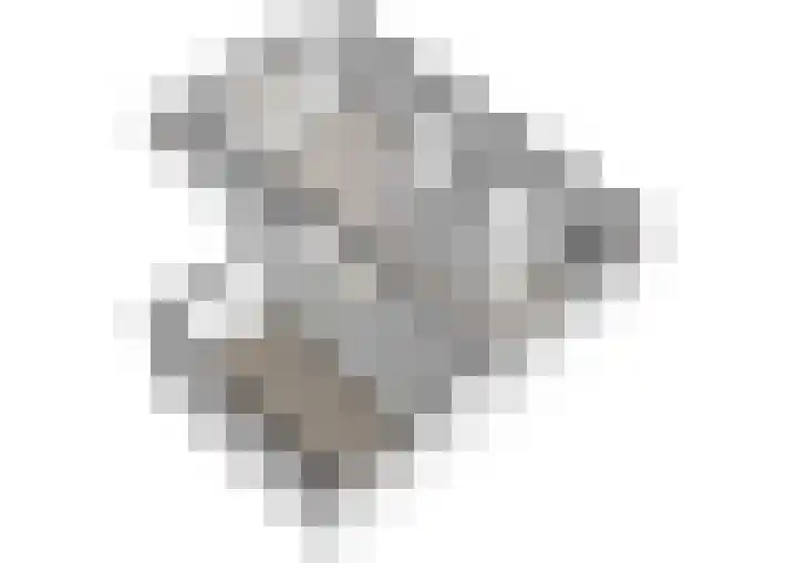 Condorhorst 36 Leiden thumbnail 31