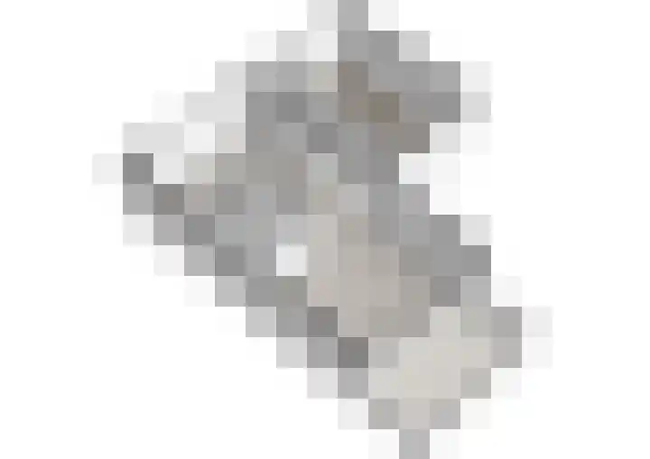 Condorhorst 36 Leiden thumbnail 32
