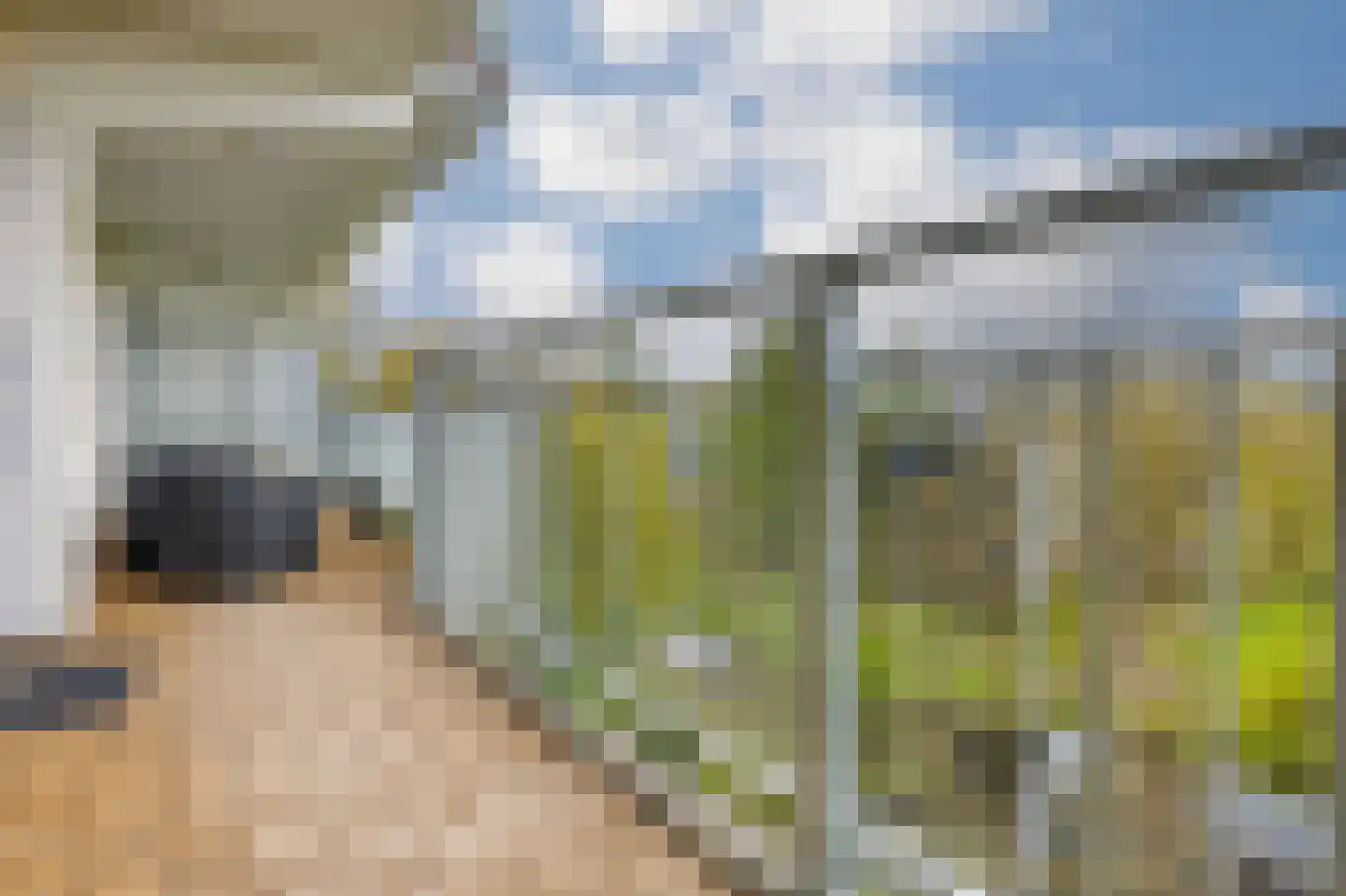 Condorhorst 95 Leiden thumbnail 10