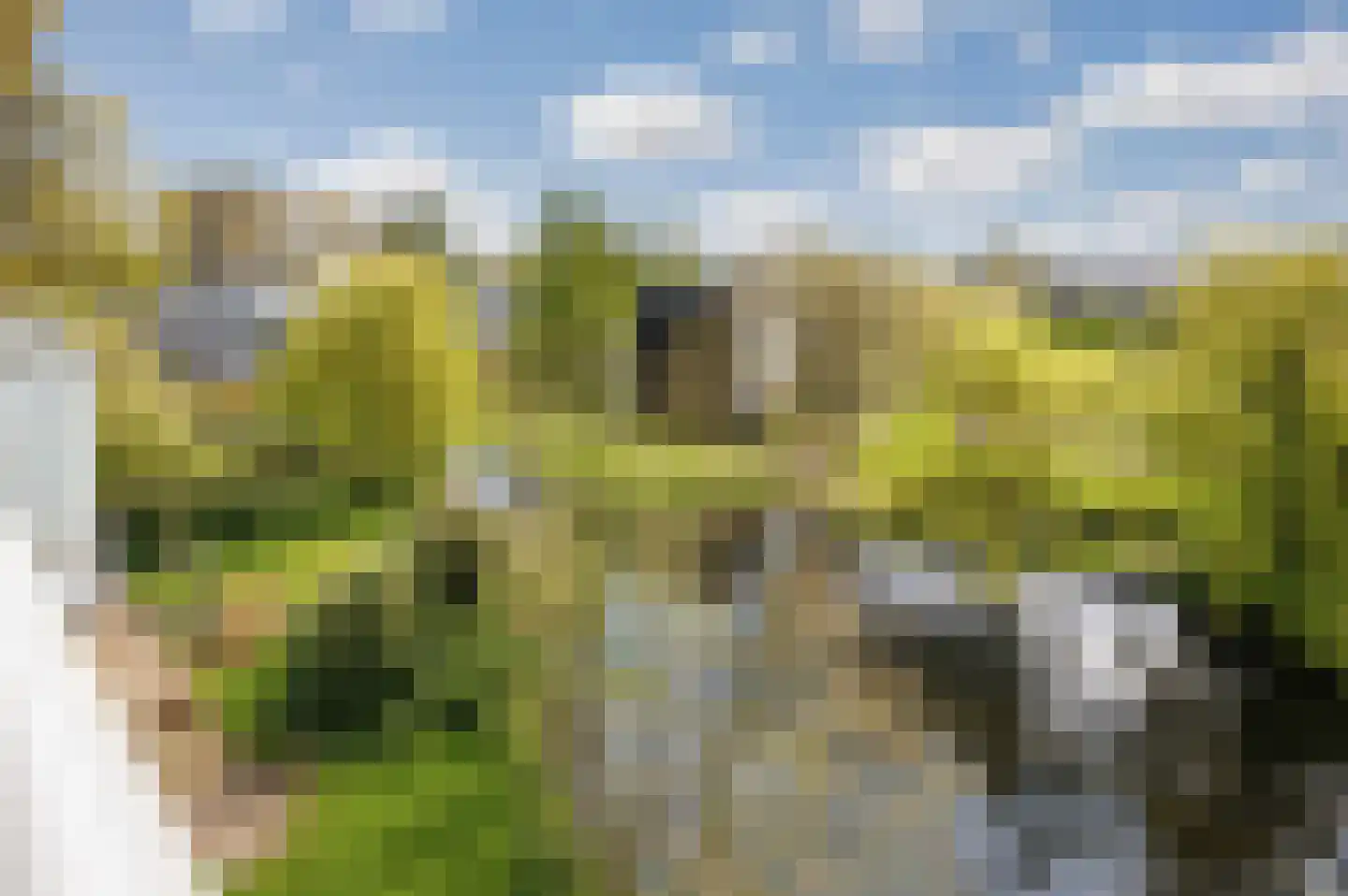 Condorhorst 95 Leiden thumbnail 13