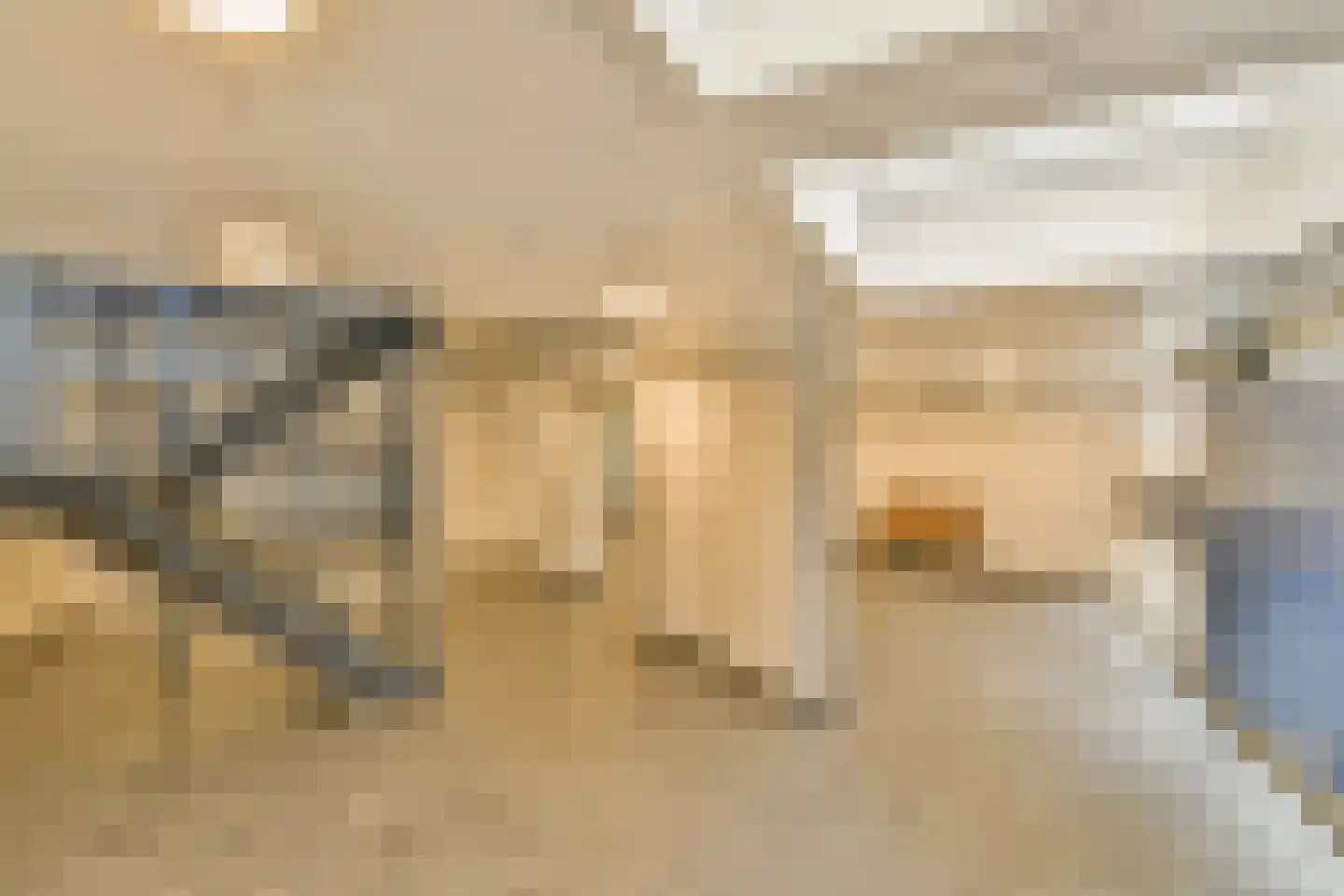 Condorhorst 95 Leiden thumbnail 33