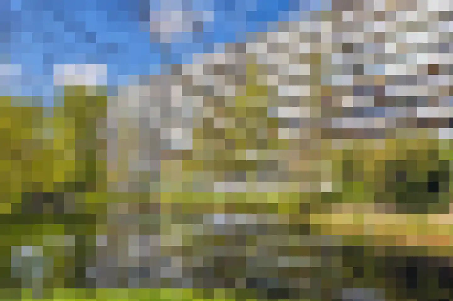 Condorhorst 95 Leiden thumbnail 34