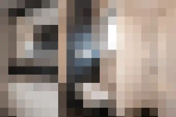 Condorstraat 13 Oss thumbnail 18