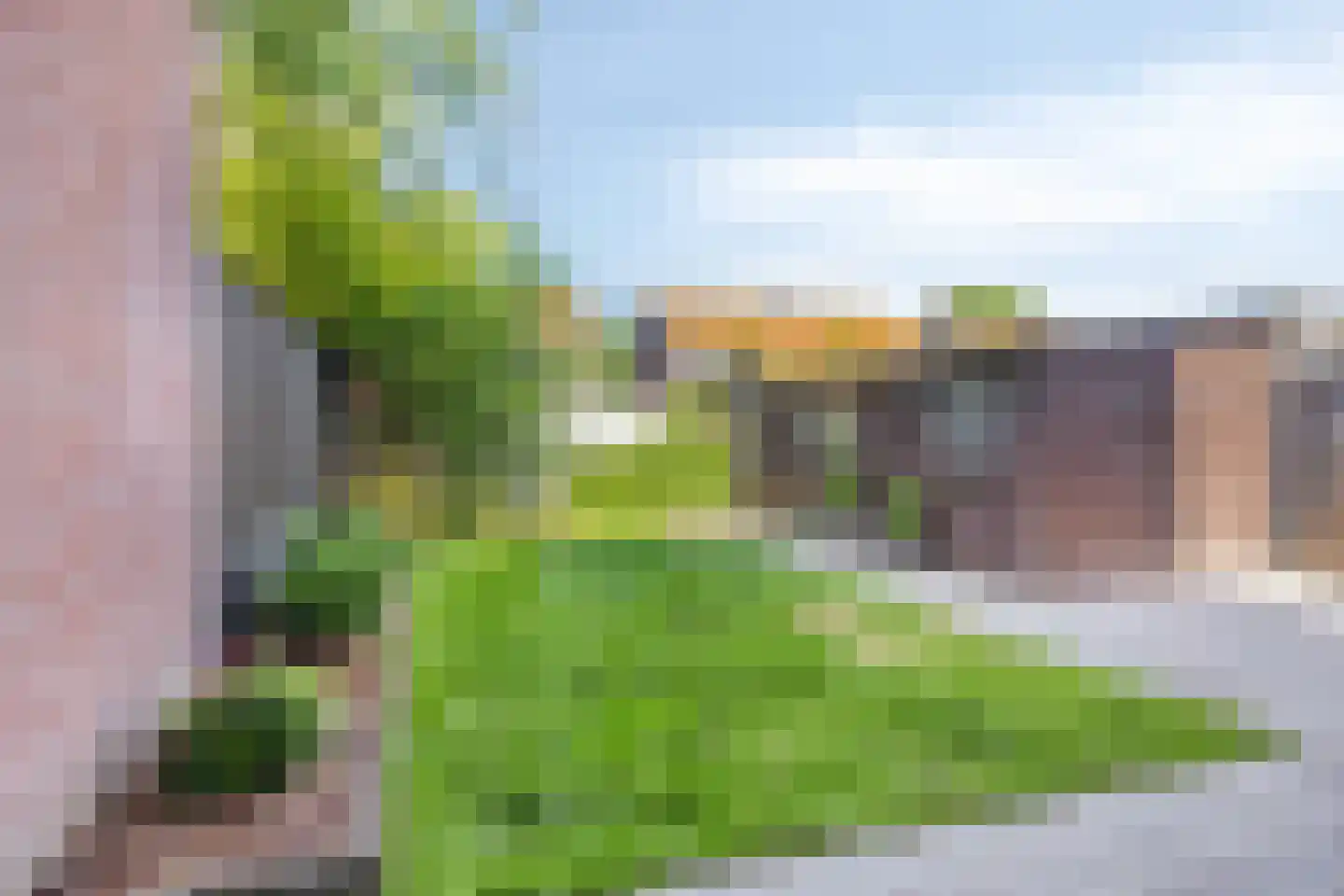 Condorstraat 29 Oss thumbnail 18