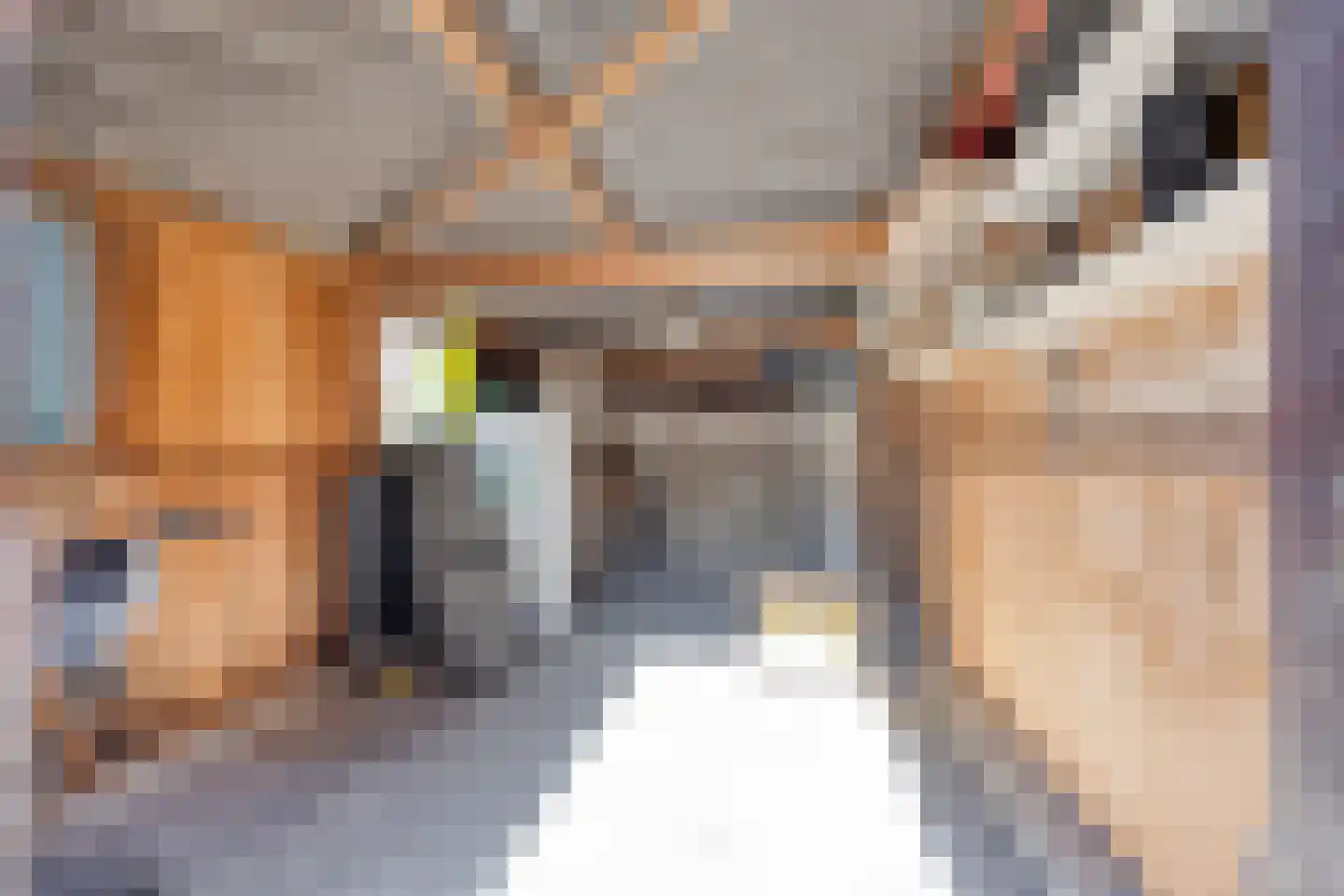 Condorstraat 29 Oss thumbnail 21