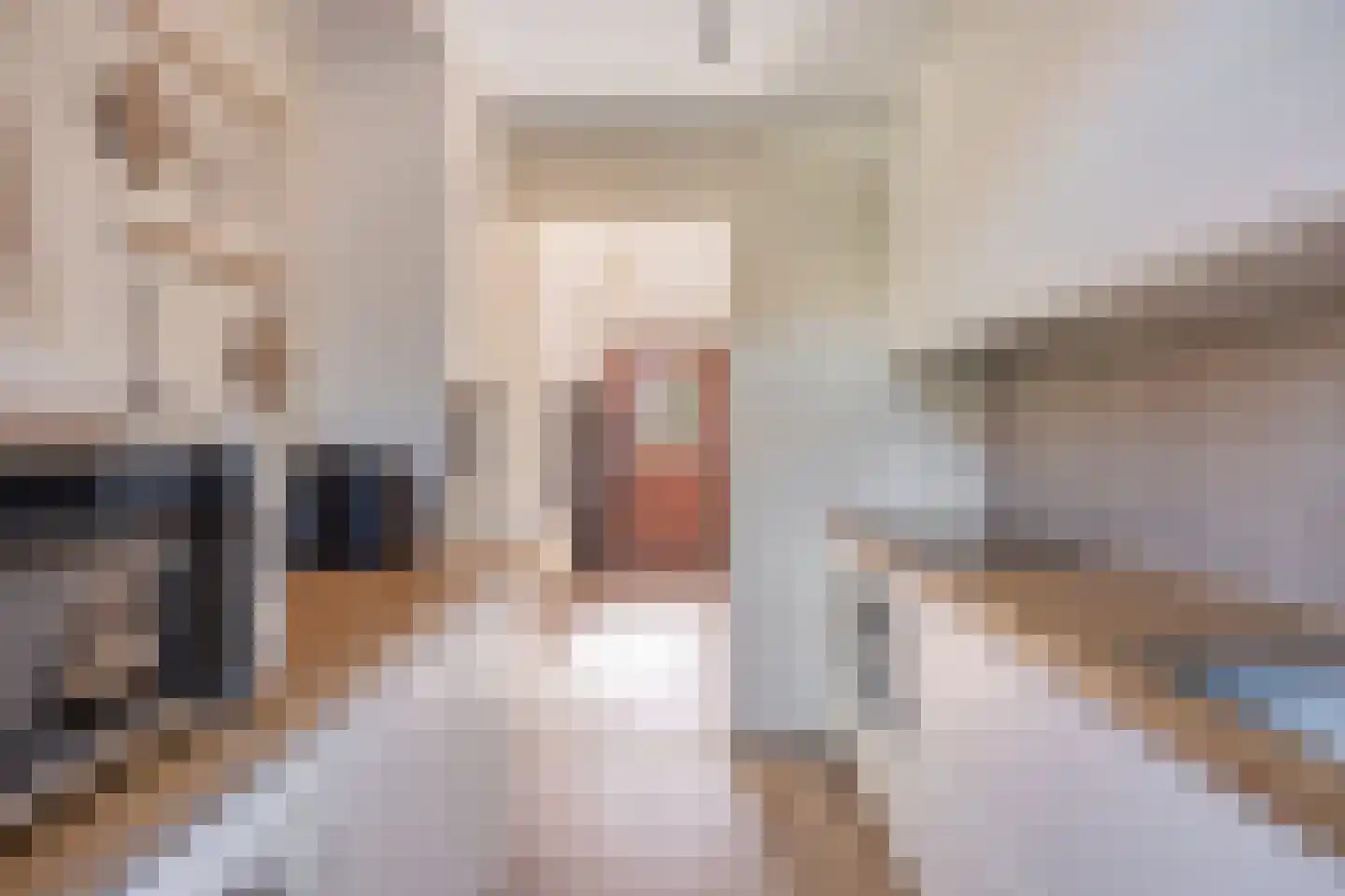 Condorstraat 29 Oss thumbnail 6
