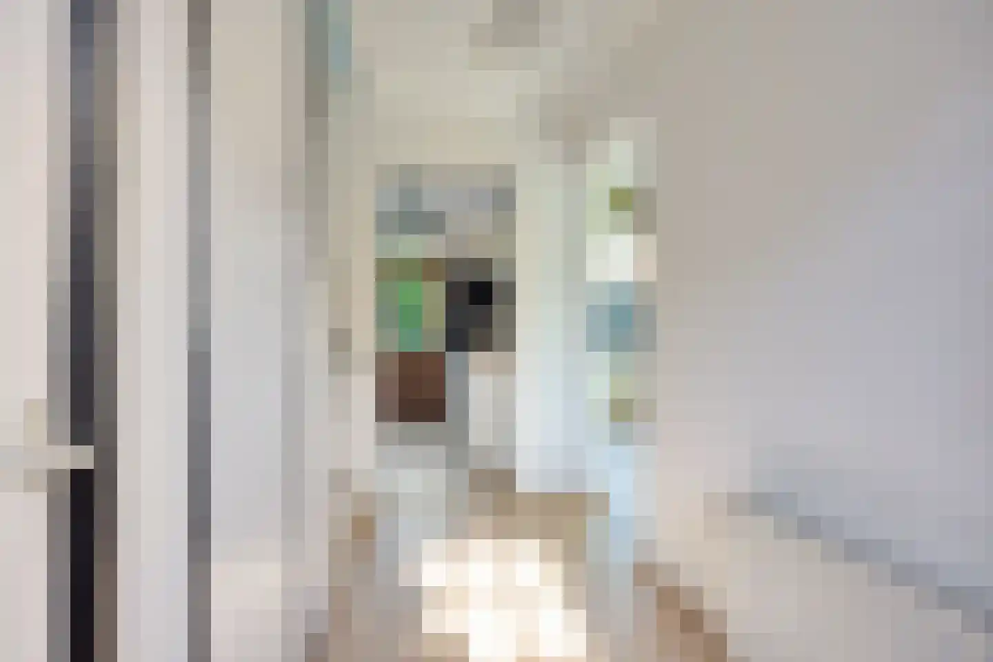 Condorstraat 29 Oss thumbnail 8
