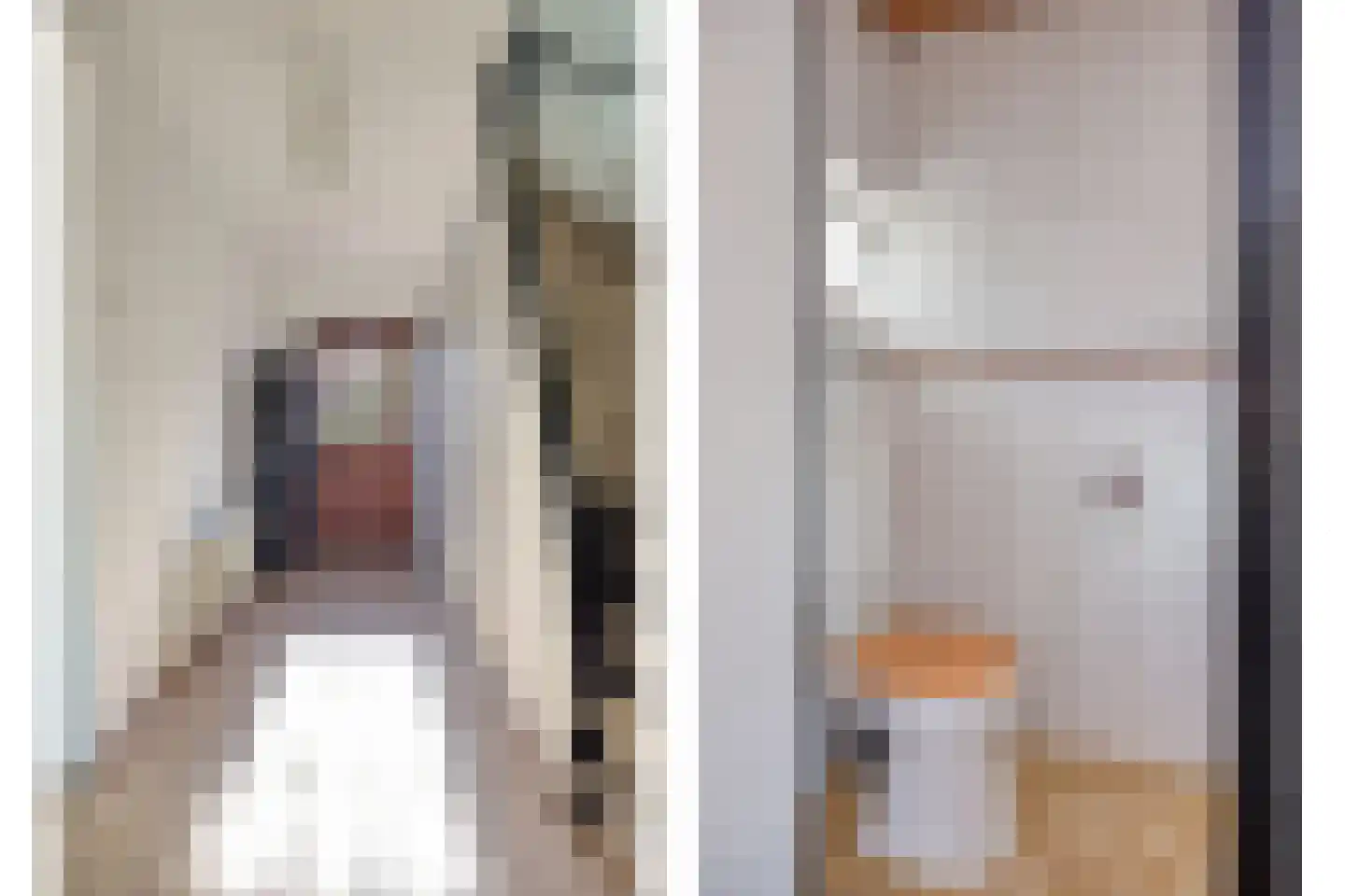 Condorstraat 29 Oss thumbnail 9