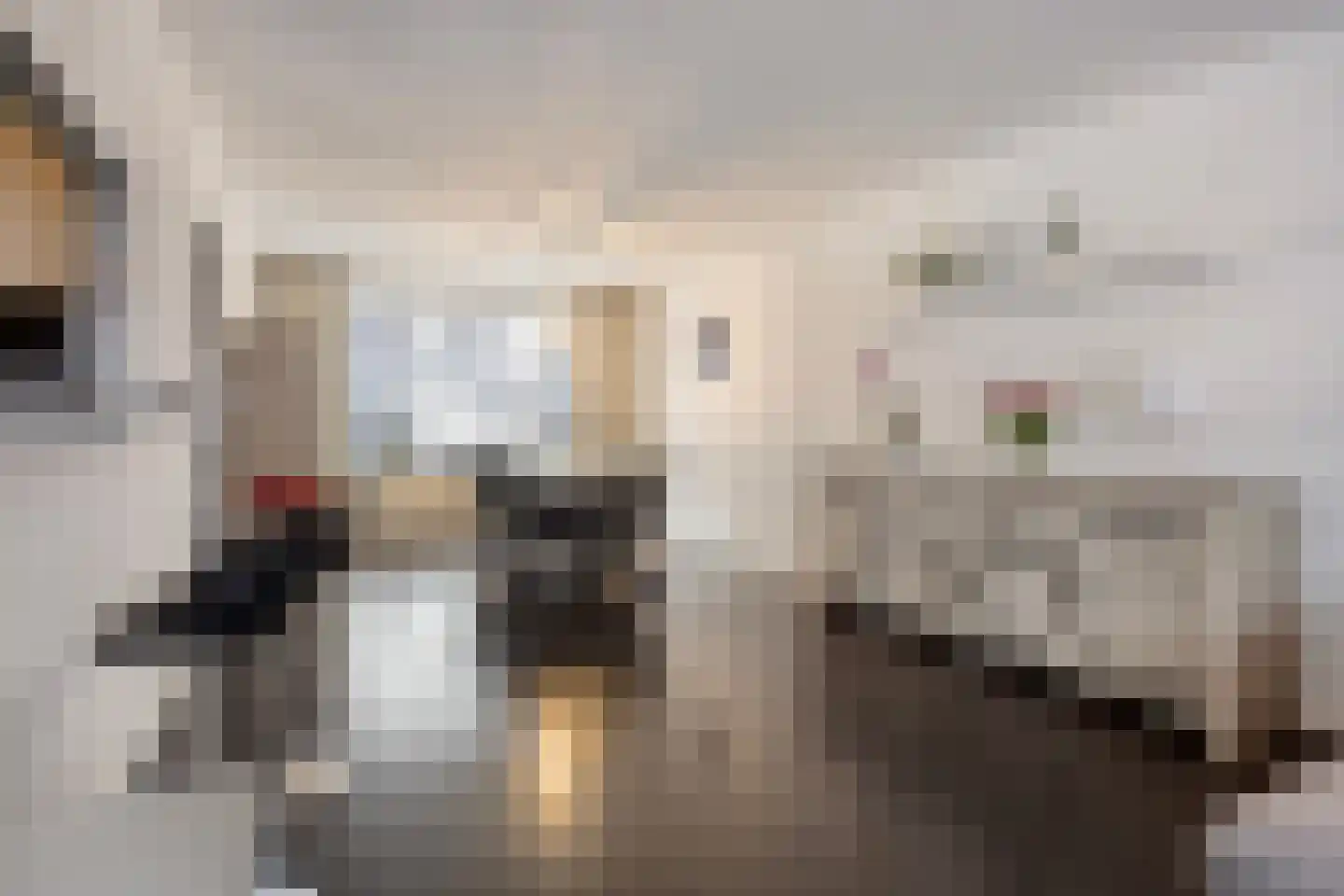 Condorstraat 42 Oss thumbnail 10