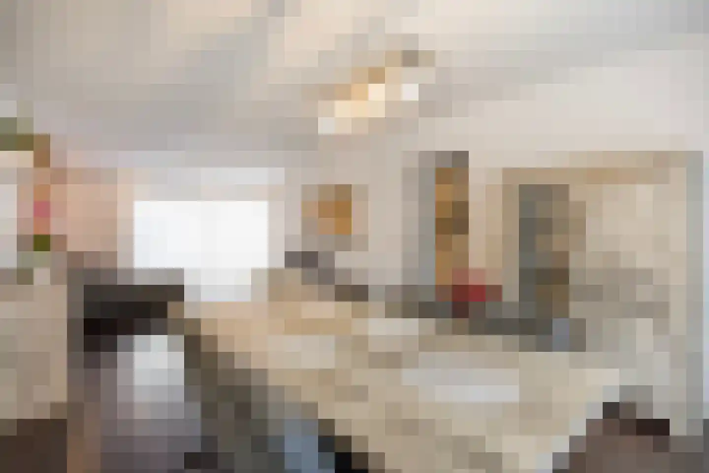 Condorstraat 42 Oss thumbnail 12