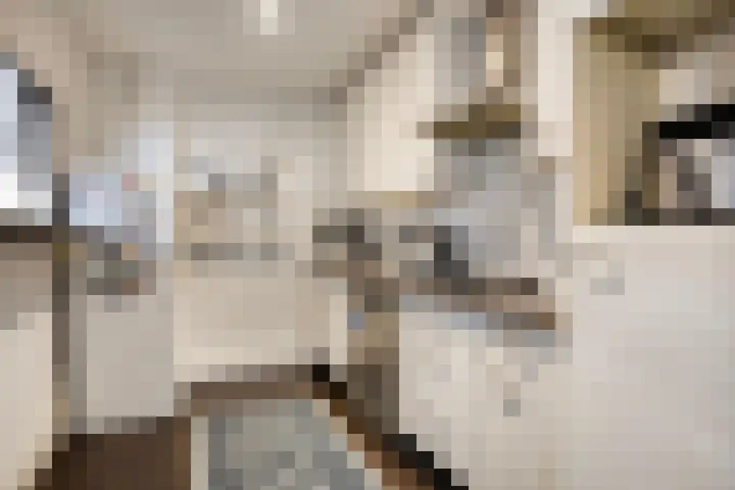 Condorstraat 42 Oss thumbnail 13