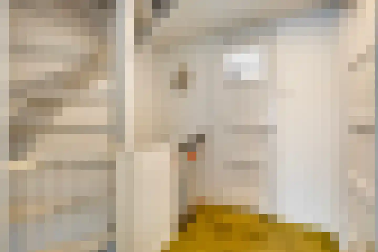 Condorstraat 42 Oss thumbnail 17