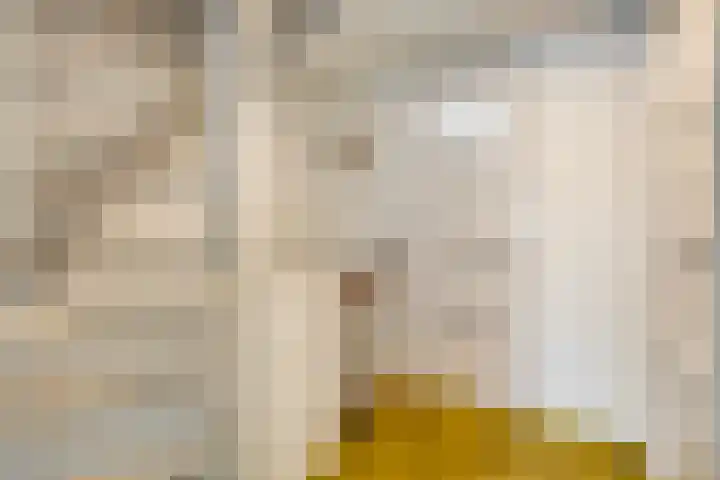 Condorstraat 42 Oss thumbnail 17