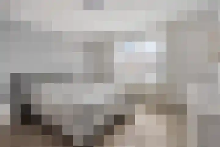 Condorstraat 42 Oss thumbnail 18