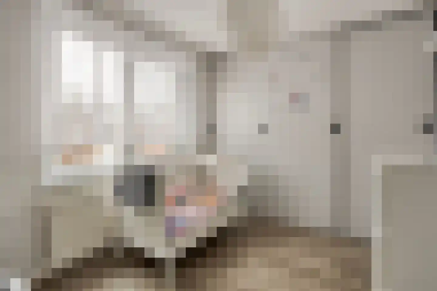 Condorstraat 42 Oss thumbnail 22