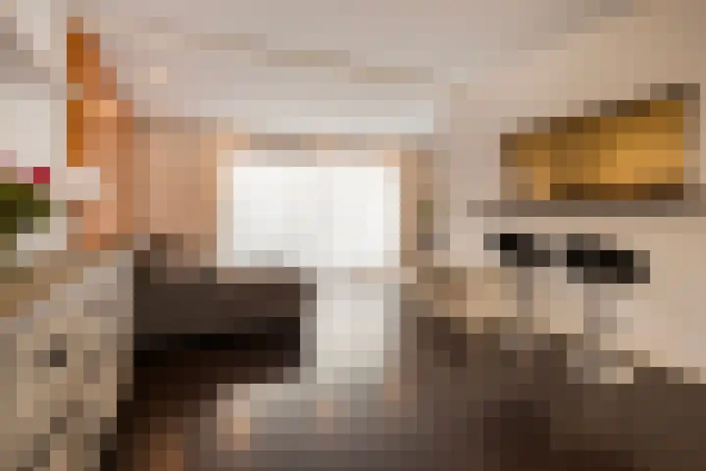 Condorstraat 42 Oss thumbnail 6