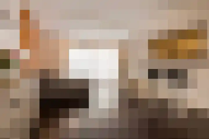 Condorstraat 42 Oss thumbnail 6