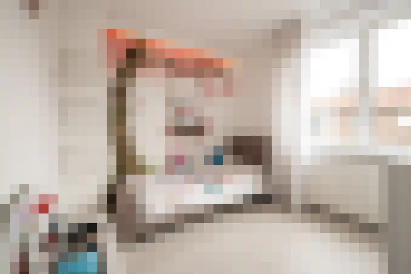 Condorstraat 9 Oss thumbnail 15