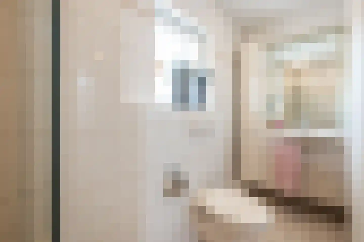 Condorstraat 9 Oss thumbnail 17