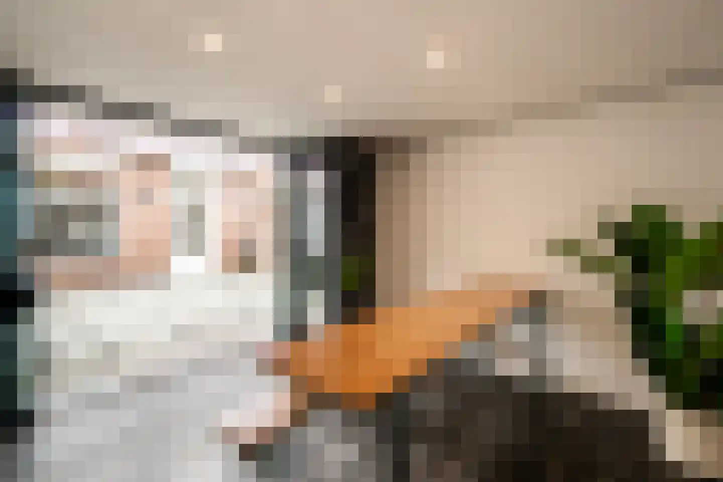Condorstraat 9 Oss thumbnail 22