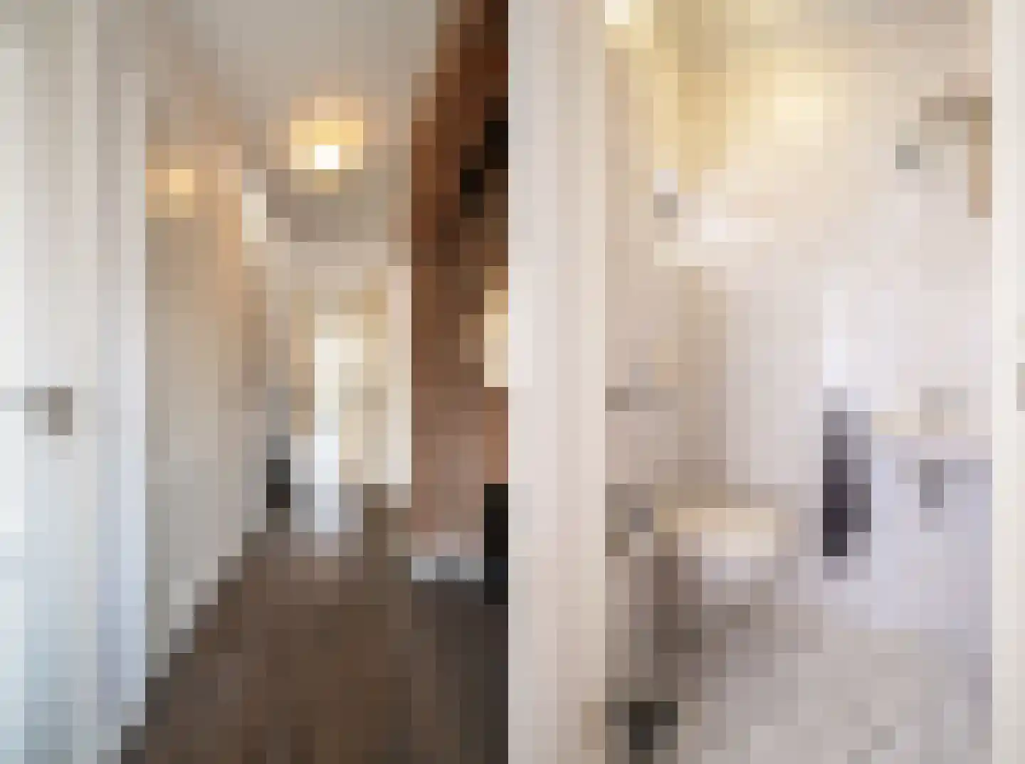Condorstraat 9 Oss thumbnail 6