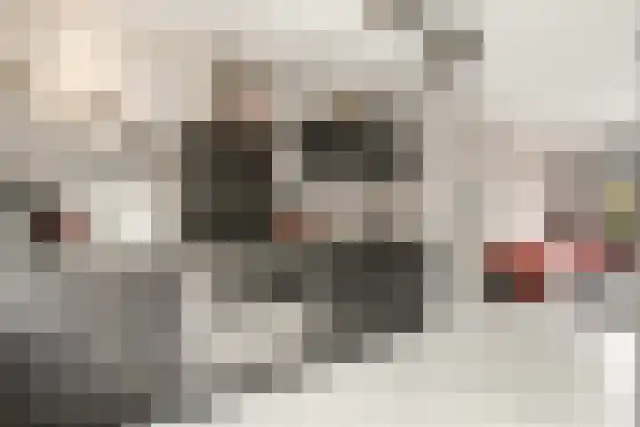 Conducteur 19 Assendelft thumbnail 10