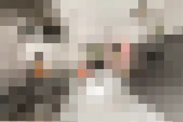 Conducteur 19 Assendelft thumbnail 11