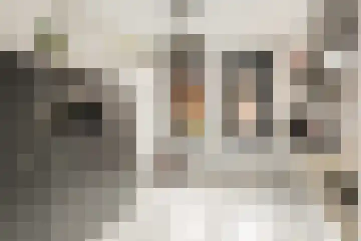 Conducteur 19 Assendelft thumbnail 12
