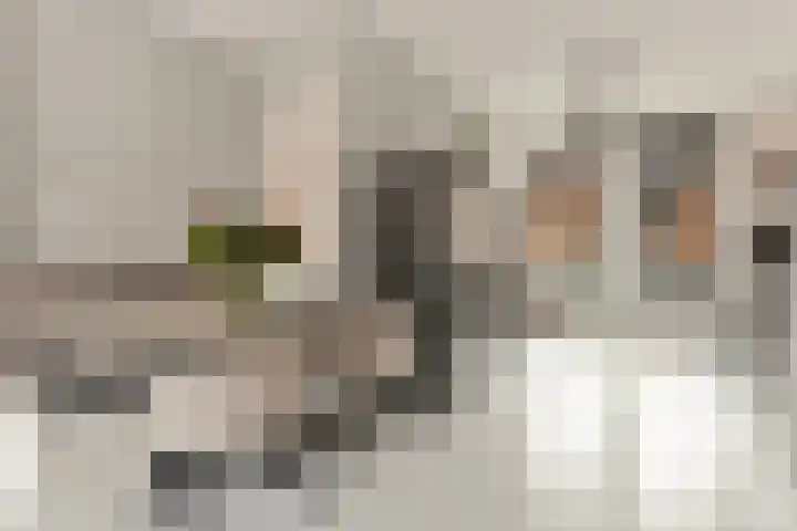 Conducteur 19 Assendelft thumbnail 15