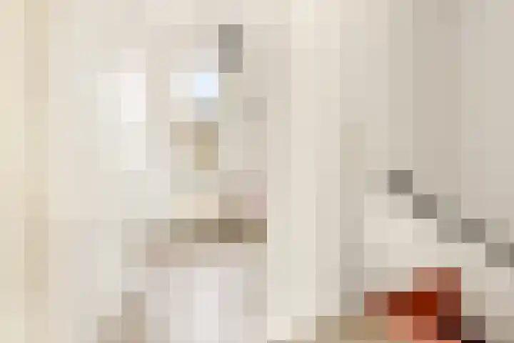 Conducteur 19 Assendelft thumbnail 18