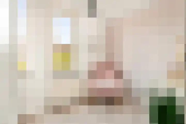 Conducteur 19 Assendelft thumbnail 19