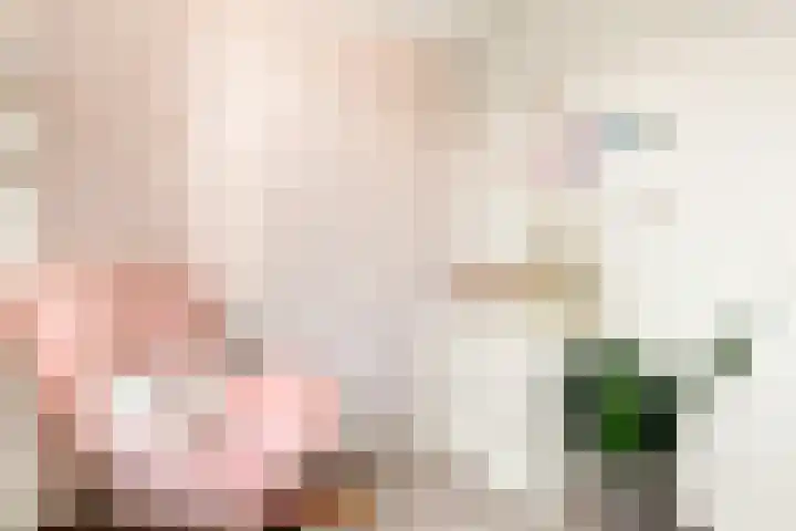 Conducteur 19 Assendelft thumbnail 20
